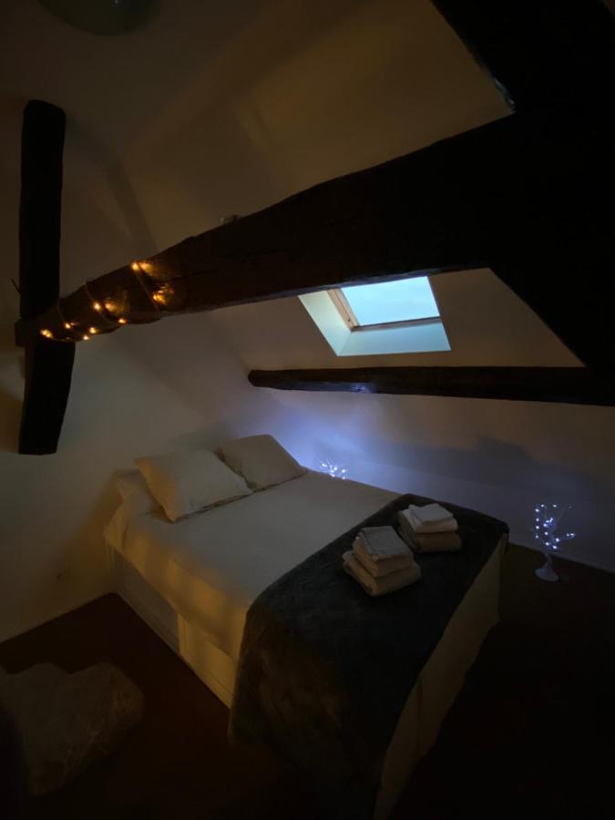 Superbe Appartement, General Allix A Sens Εξωτερικό φωτογραφία